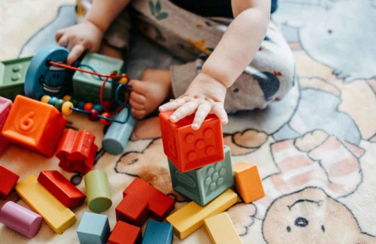 חנות פליימוביל ולגו2